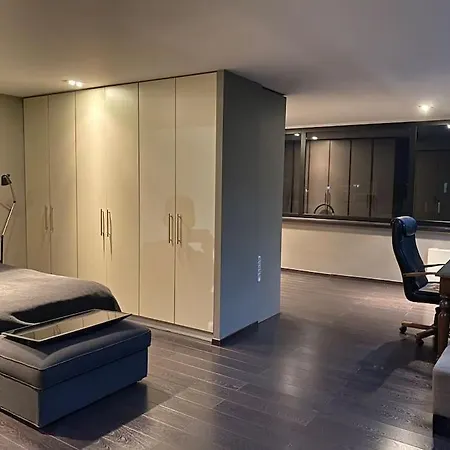 公寓 Luxury Loft By Boy 帕特雷